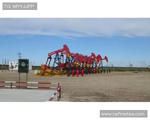 南京篮球队的蜕变之旅：从传统强队到现代竞技新标杆的探索与实践