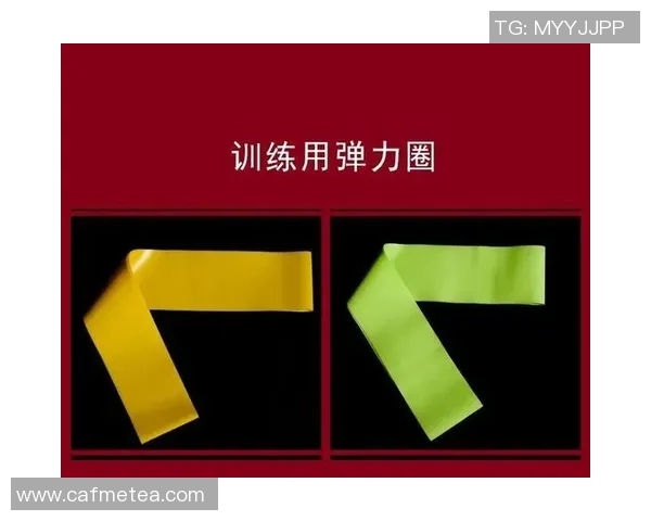 武汉羽毛球队防反战术分析及其在比赛中的得失表现探讨