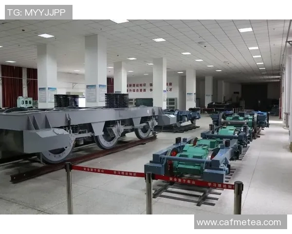 深入分析西安羽毛球队的运营策略与发展模式探讨