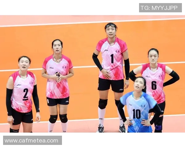 王敏专访：探寻排球背后的成功秘诀与奋斗历程