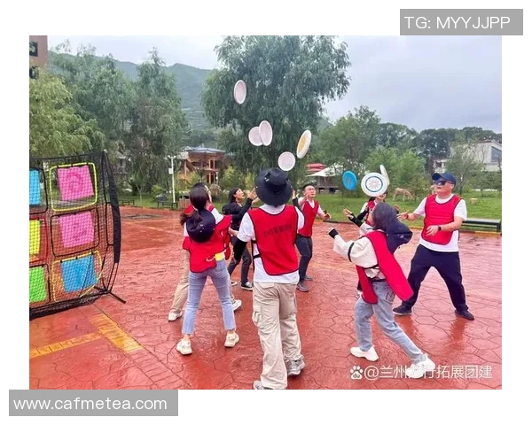 重庆飞盘队的节奏揭秘：探索飞盘运动的魅力与团队精神