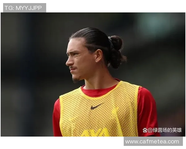 努涅斯在赛场上的崛起与挑战解析，揭示未来足球发展的新星潜力